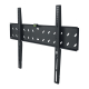 Stell SHO 2021 SLIM