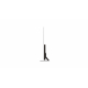 LG OLED83B56